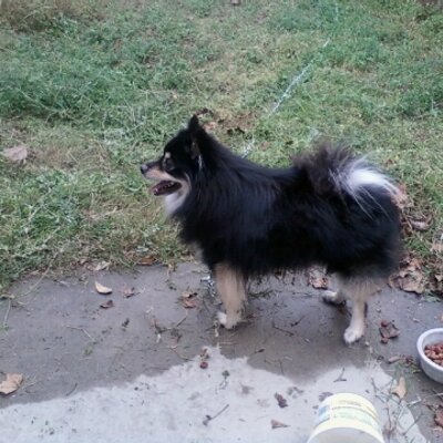 Profile Picture of Michaela Rodriguez (@Crazylife43) on Twitter