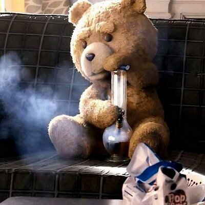 Profile Picture of Jacob Mollohan (@MollohanJacob) on Twitter