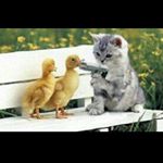 Profile Picture of sean tanner (@sly_cooper_2) on Instagram