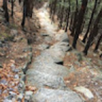 Profile Picture of Bobbie Beecham (@bobbie-beecham) on Quora