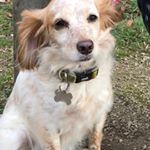 Profile Picture of Willow (@willow_davey) on Instagram