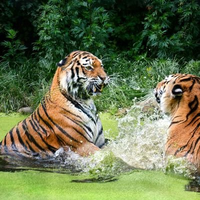 Profile Picture of Gordon Osborne (@GordonOsborne12) on Twitter