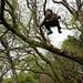 Profile Picture of Duncan Robert MacDougall (@drmd13585) on Pinterest