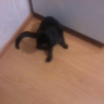 Profile Picture of Minchenkov Dima (@DmMinchenkov) on Twitter