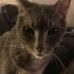 Profile Picture of Daniel Tomasello (@daniel.tomasello.3) on Facebook