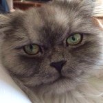Profile Picture of Garbis Sarafyan (@garbissarafyan) on Instagram
