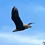 Profile Picture of Carl Bicknell (@Carl-Bicknell) on Facebook