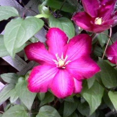 Profile Picture of Gretchen Stephens (@@GEStephens0770) on Twitter