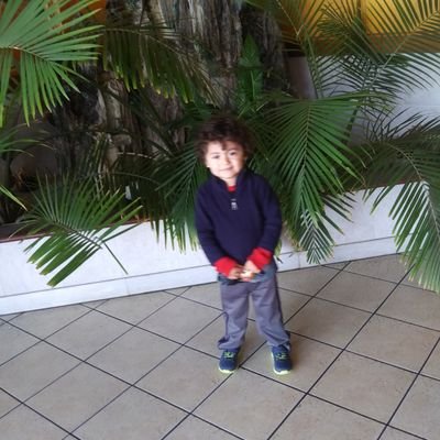 Profile Picture of Nicolas Tolentino (@NicolasTolent13) on Twitter