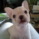 Profile Picture of Kim Milnor (@kimberlymilnor) on Instagram