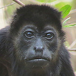 Profile Picture of J. Kent Dexter (@j.kentdexter) on Flickr