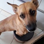 David Akagi - Instagram Profile Picture of David Akagi (@david.akagi) on Instagram