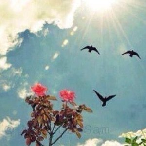 Profile Picture of حبيب خالد (@GhermezianNilda) on Twitter
