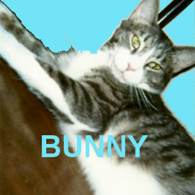 Profile Picture of Janet Squireson Twitter