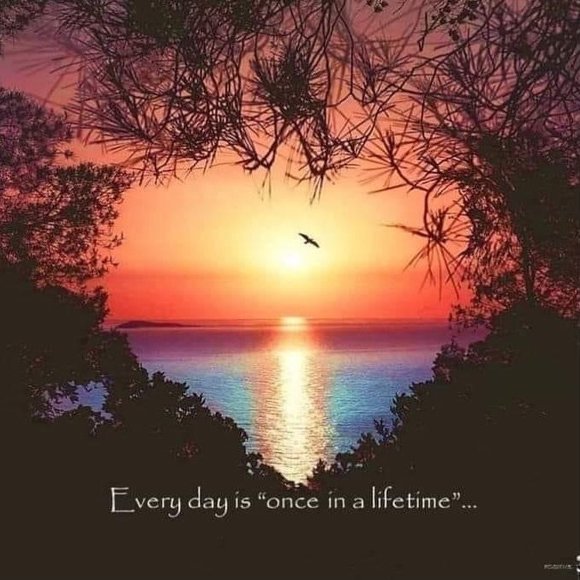 Profile Picture of Maria Dmello (@mycaruso) on Poshmark