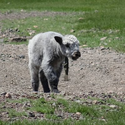 Profile Picture of Ed Van Wesep (@Ed_Van_Wesep) on Twitter