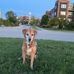 Profile Picture of Shelly Benrud Feely (@shelly.feely) on Facebook