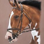 Profile Picture of kevin kothari (@official.kothari) on Instagram