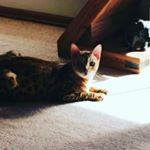 Profile Picture of Katelyn fraser (@fraser_slime) on Instagram