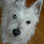 Profile Picture of Jake the hired hand (@Jake the hired hand) on Flickr