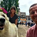 Profile Picture of Paula Story (@wonderweggers) on Instagram