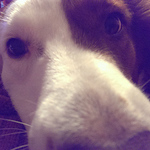 Chase Norris - Flickr Profile Picture of Chase Norris (@rchasenorris) on Flickr