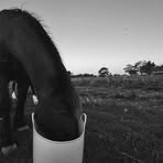 Profile Picture of Taylah Roberts (@taylah.roberts.251809) on Facebook