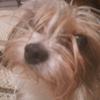 Profile Picture of Diana Danielson936 (@dianadanielson) on Tiktok