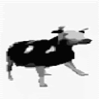 Profile Picture of Juan Carlos Gamero Jensen (@juan-carlos-gamero-jensen) on Quora