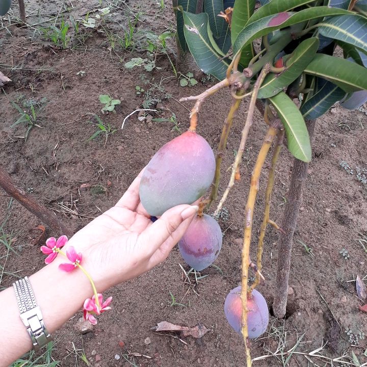 Profile Picture of Sam Isaac (@samisac07) on Tiktok