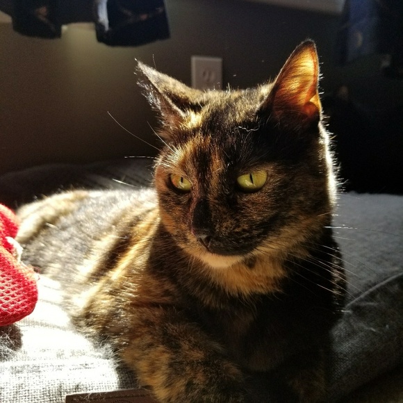 Profile Picture of Grant Kollman (@gk727) on Poshmark