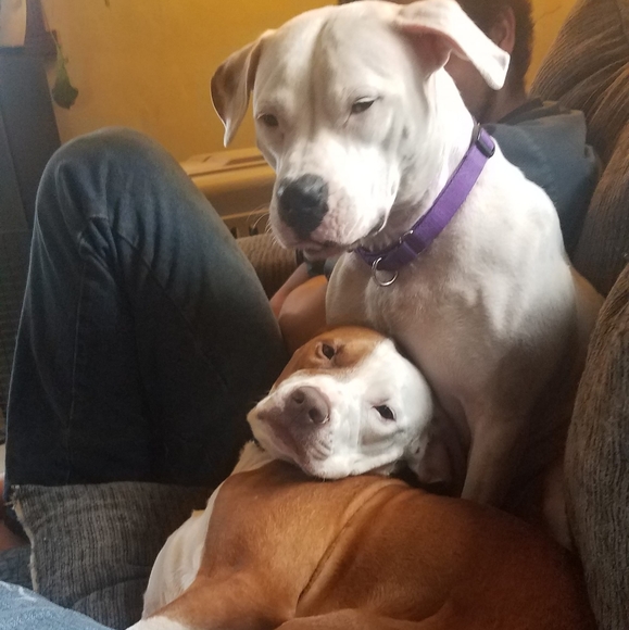 Profile Picture of Lisa Sinclair (@lisamay2003) on Poshmark