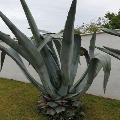 Profile Picture of Boyer.dahler Richard (@boyer_dahler) on Twitter