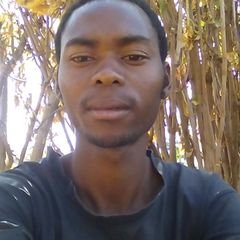 Profile Picture of Marc Josey (@marc_josey) on Twitter