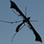 Profile Picture of Jose Luis Limon (@J.Luis Limon) on Flickr