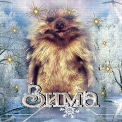 Profile Picture of Евгений Воробйов555 (@eugenesparrow2) on Tiktok