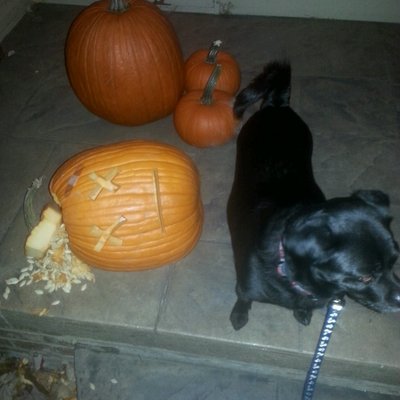Profile Picture of Jim Baumgartner (@JimTheBaum) on Twitter