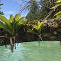 Profile Picture of Cecile Simon (@cecile-simon-2) on Quora