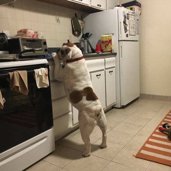 Christa Cerrone - Poshmark Profile Picture of Christa Cerrone (@ccerrone) on Poshmark