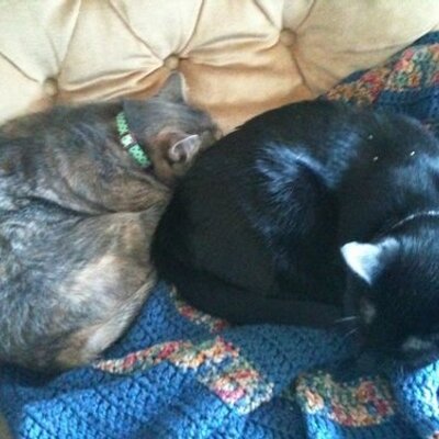 Profile Picture of Kevin And Rachel (@KevinandRachie) on Twitter