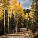 Profile Picture of Matthew Gregg Schiffbauer (@mattschiffbauer) on Instagram