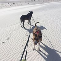 Profile Picture of Jeanna Richards Maclean (@jeanna-richards-maclean) on Quora