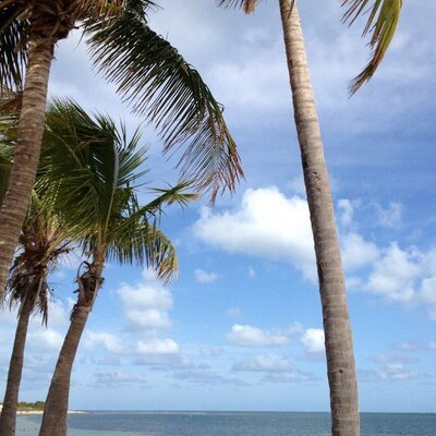 Profile Picture of Joe Coscarelli (@josephcoscarell) on Twitter