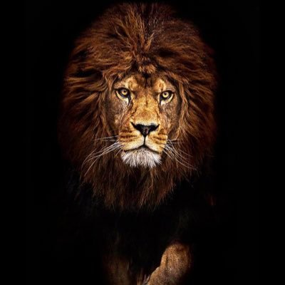 Aaron Fant - Twitter Profile Picture of Aaron Fant (@AaronFant_03) on Twitter