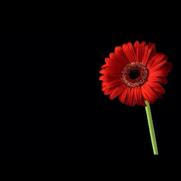 Profile Picture of Galina Kurilko (@galinachka) on Poshmark