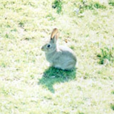 Profile Picture of 今城純 (@@Jun_Imajo) on Twitter