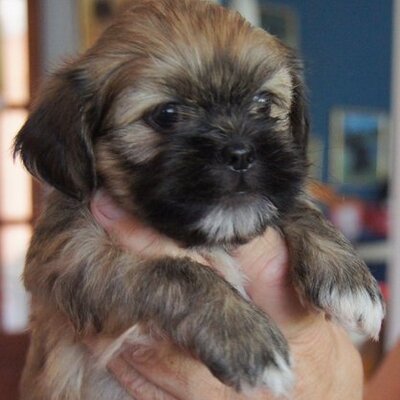 Profile Picture of Janet McGregor (@Janetmacbt) on Twitter