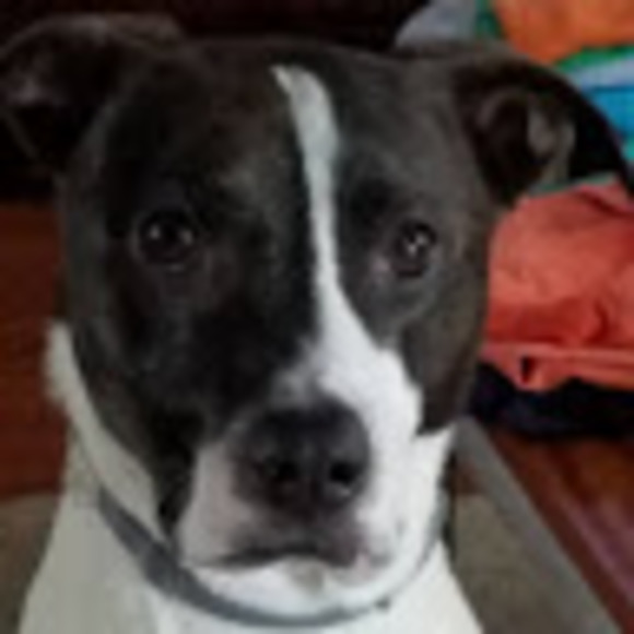 Profile Picture of Scott Pedigo (@scottpedigo) on Poshmark