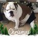 Profile Picture of Philip Reid (@philip.reid.5855) on Facebook