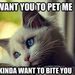 Profile Picture of Janet Revis (@janetrevis) on Pinterest